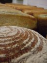 bread