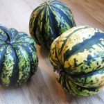 squash1-300x225