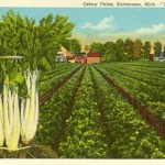 postcard_380