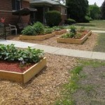 oak-park-vegetable-garden_opt