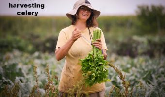 5 Non-Monetary Benefits of Joining a CSA